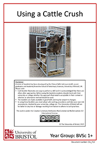 clinical skills instruction booklet cover page, using a cattle crush